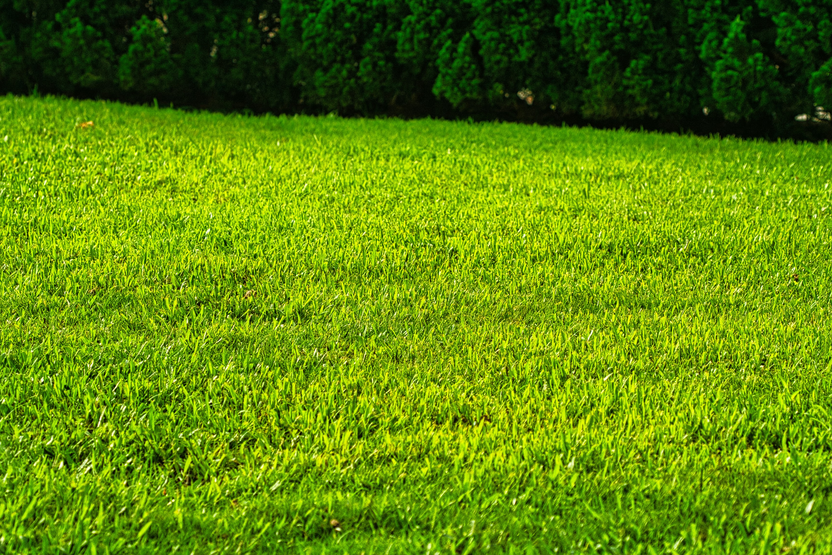 Lawn mowing