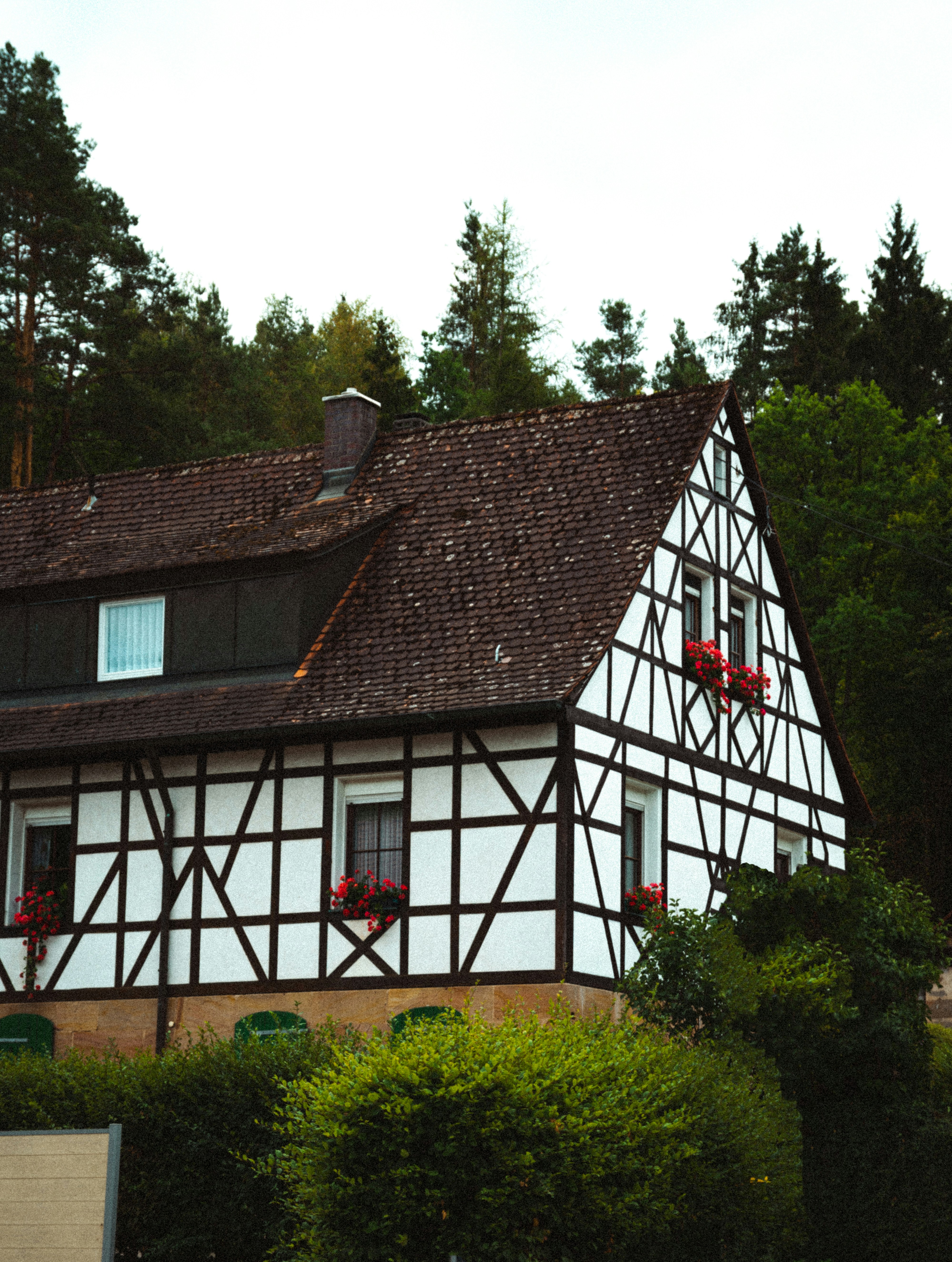 Exterior house painting
